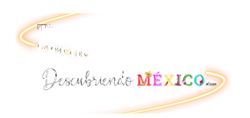 transportesejecutivoscdmx